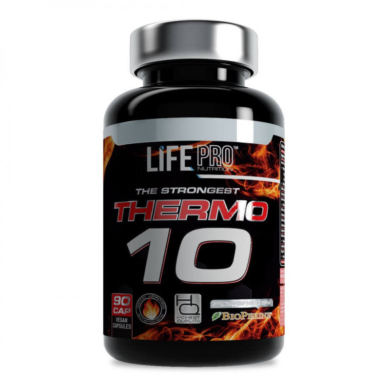 Thermo10.jpg